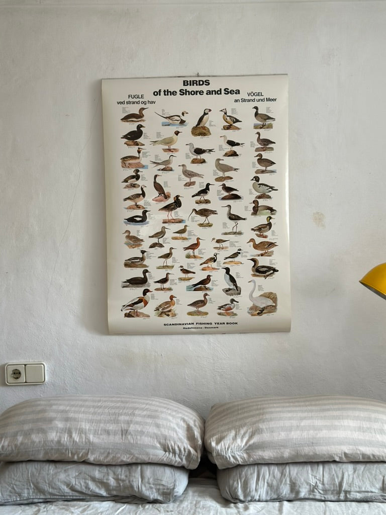 Educational poster printed in Denmark – birds, stars or sea creatures (1970s-80s)