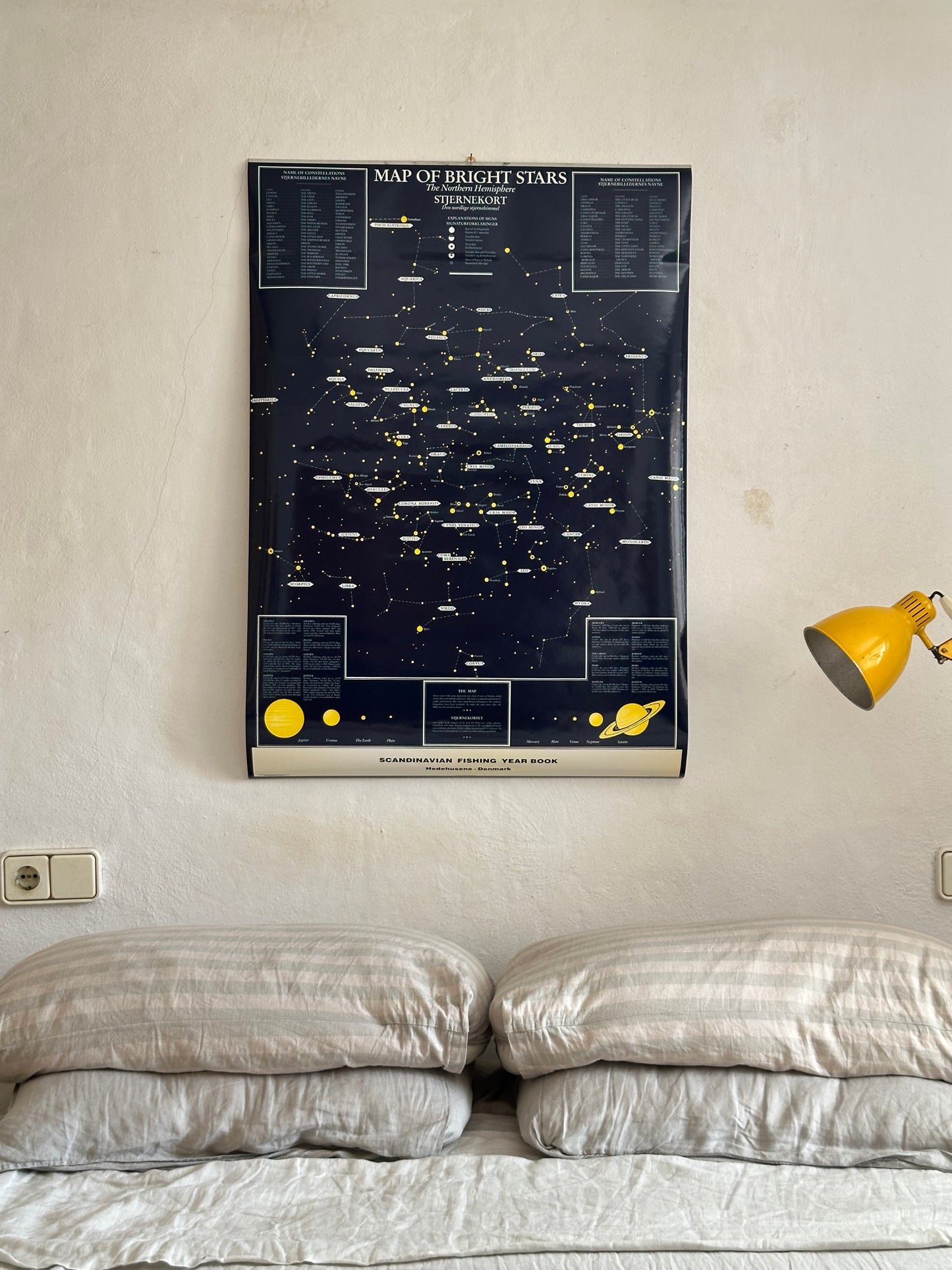 Educational poster printed in Denmark – birds, stars or sea creatures (1970s-80s)