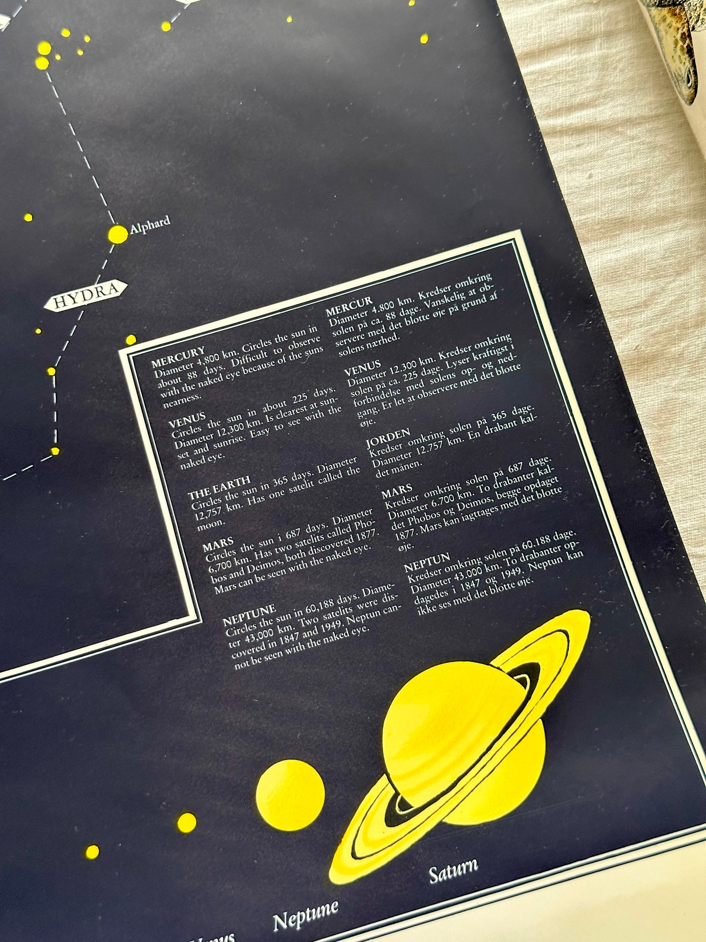 Educational poster printed in Denmark – birds, stars or sea creatures (1970s-80s)