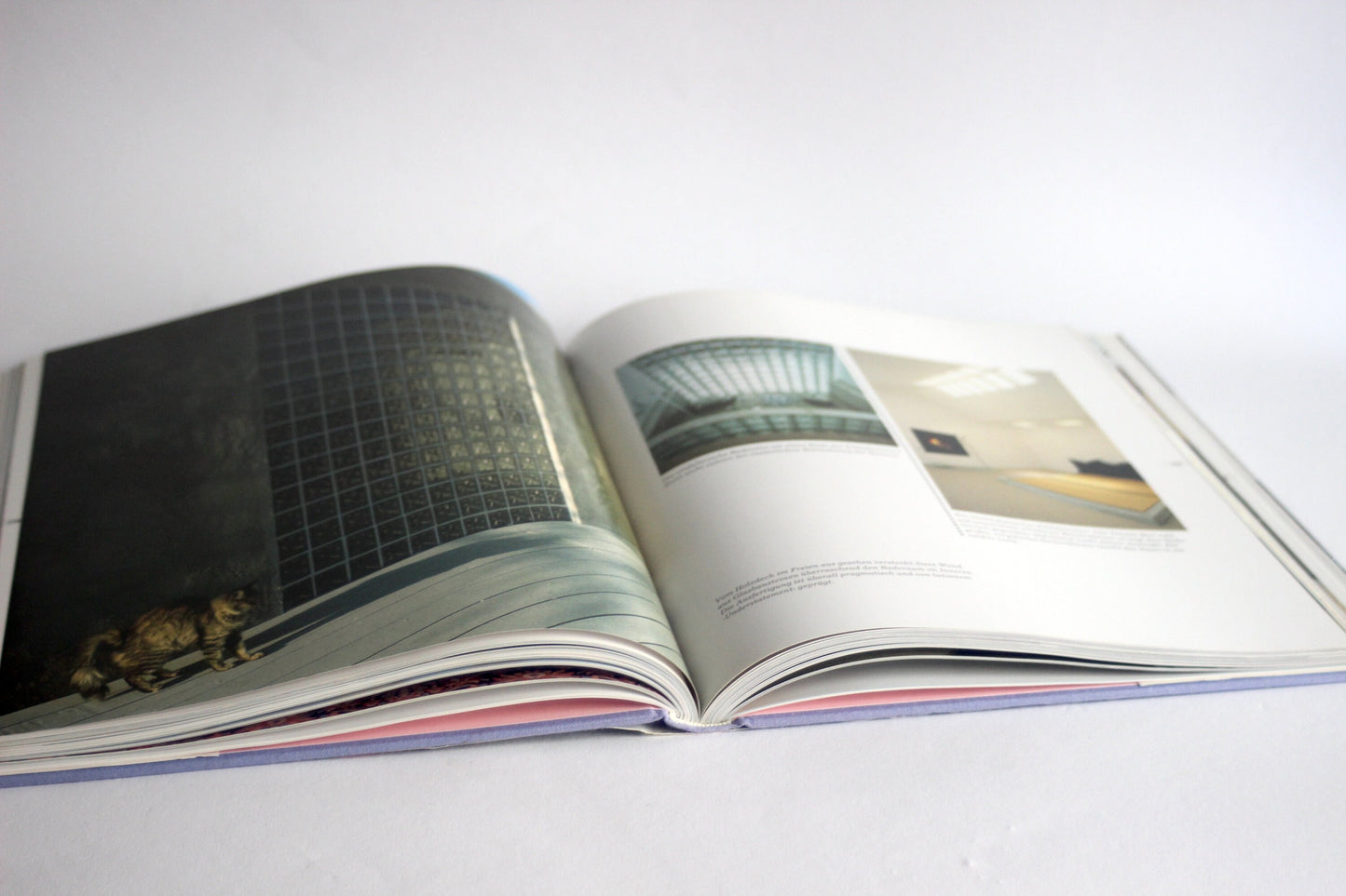 Freestyle. Neues Design für Architektur und Inneneinrichtung aus Kalifornien / Vintage architecture book / Photo book / Coffee table book
