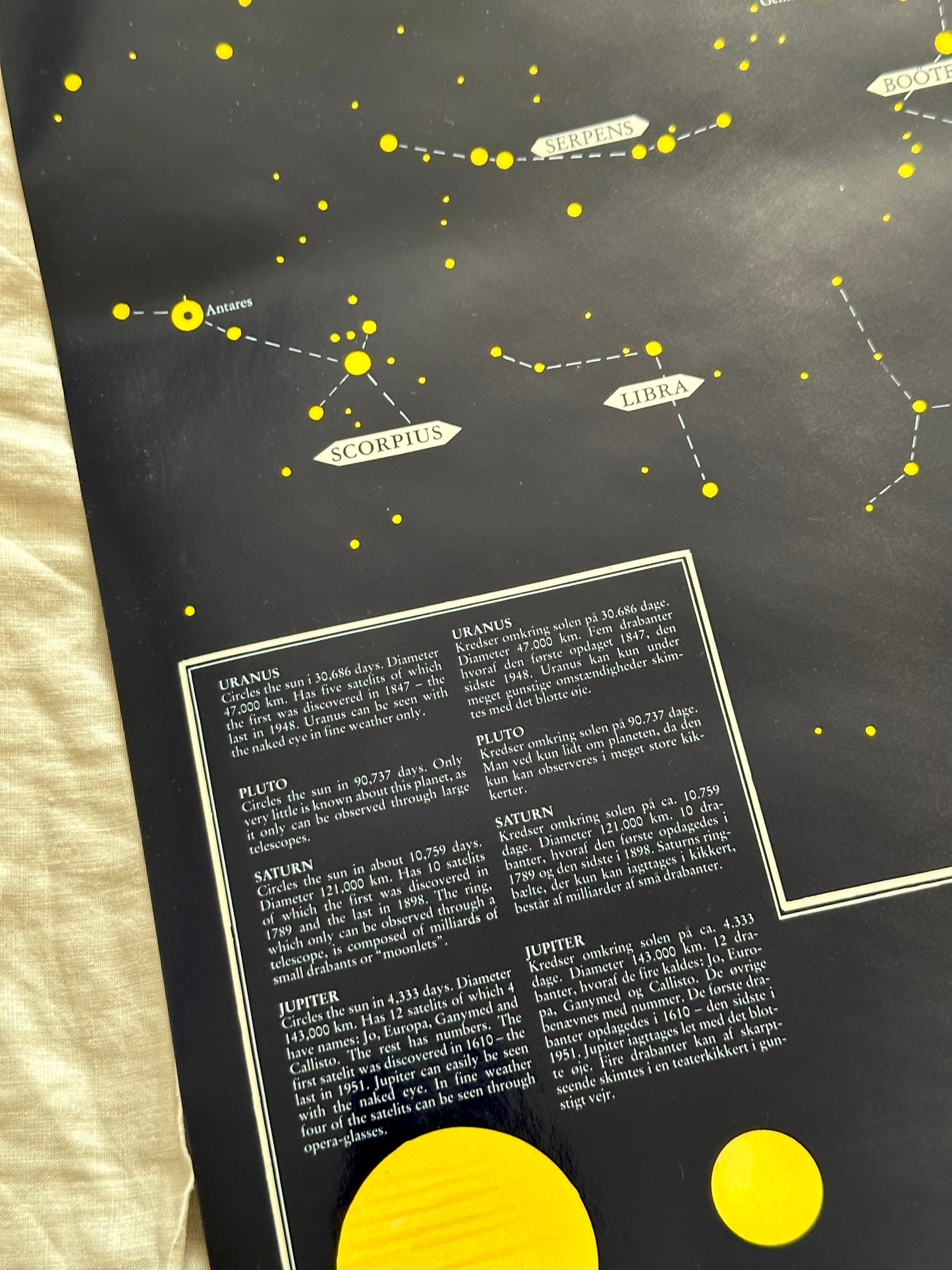 Educational poster printed in Denmark – birds, stars or sea creatures (1970s-80s)